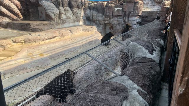 福州欧乐堡海洋世界旅行图片 6