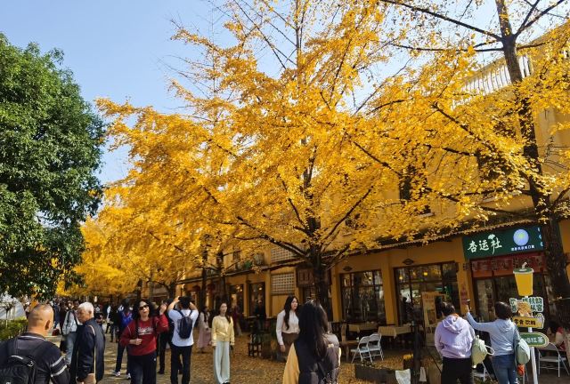 南雄帽子峰旅游景区旅行图片 2