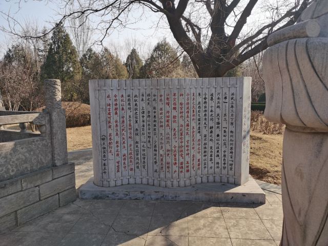 洪洞大槐树寻根祭祖园旅行图片 4