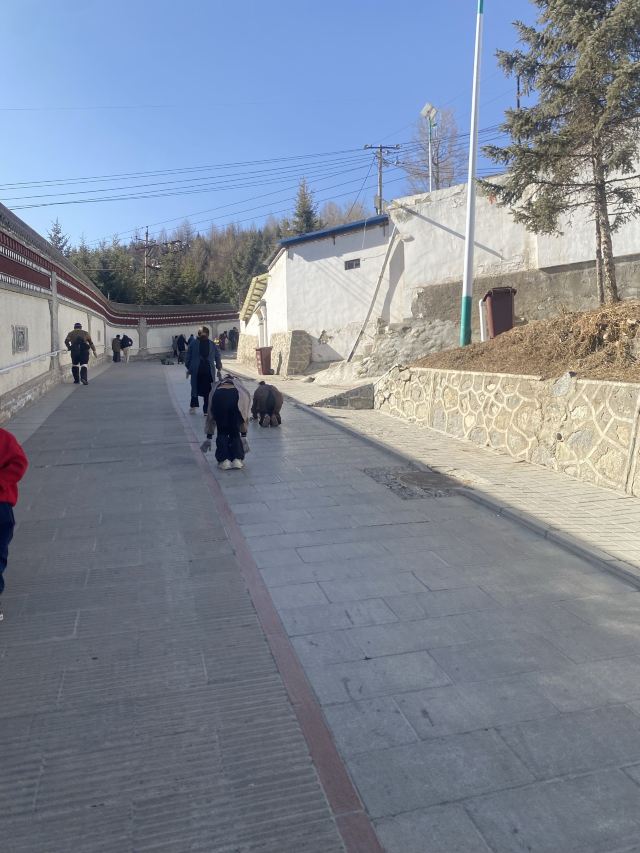 塔尔寺旅行图片 1