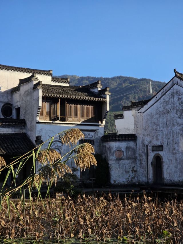 呈坎五福桥旅行图片 5