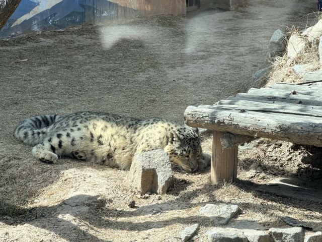 西宁野生动物园旅行图片 1