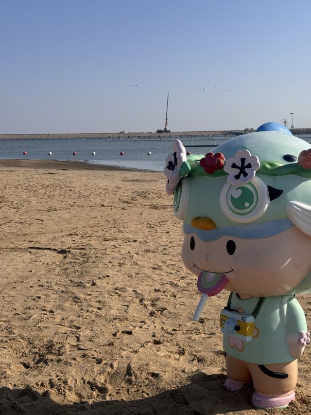 金山城市沙滩旅行图片 2