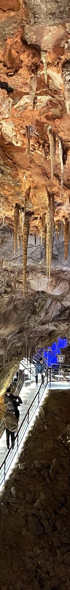 古猿人洞-南京