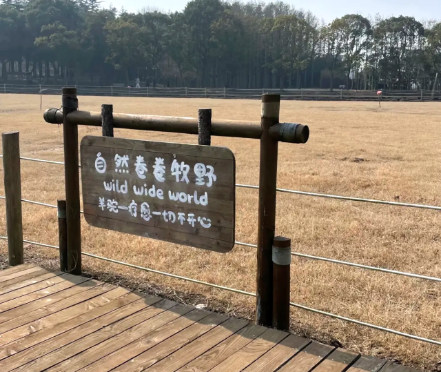 自然卷卷牧野旅行图片 2