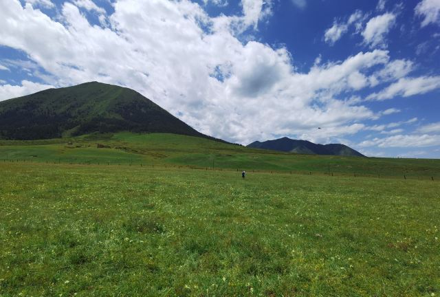 山丹皇家马场景区(暂停开放)旅行图片 6