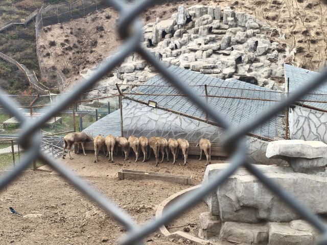林胡古塞旅行图片 1