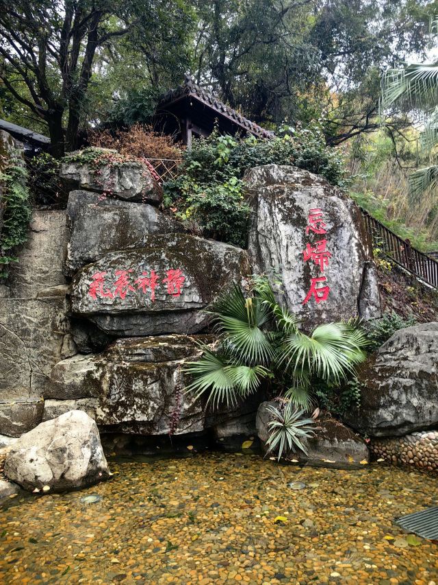 源脉温泉旅行图片