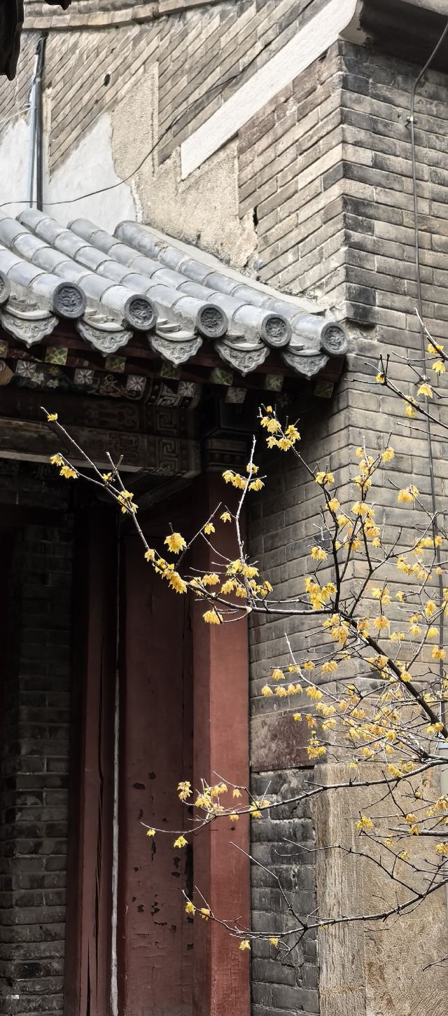 岱庙旅行图片 2