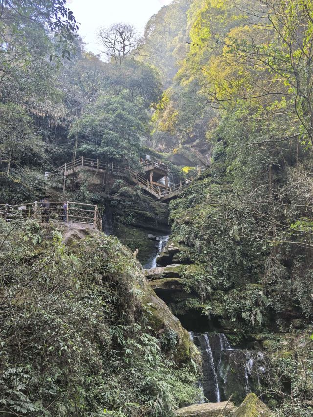 碧峰峡风景区旅行图片 2