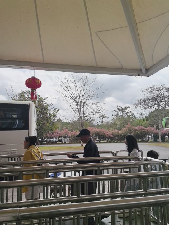 西双版纳傣族园旅行图片 1