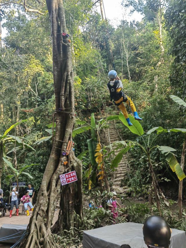 基诺山巴朵村雨林徒步旅行图片 3