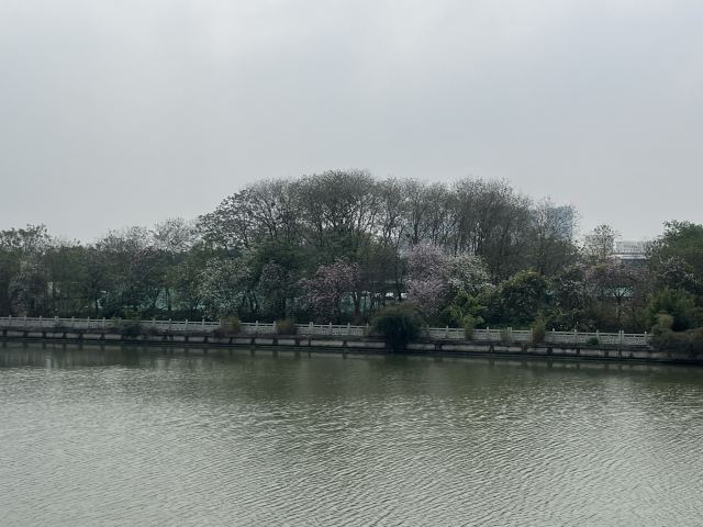 广州海珠国家湿地公园旅行图片 3
