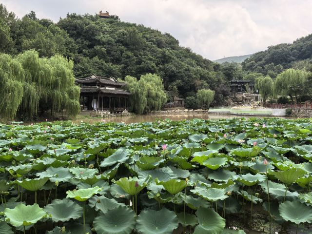 宝华山国家森林公园旅行图片 1