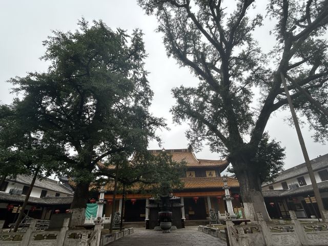 人间弥勒旅行图片 7
