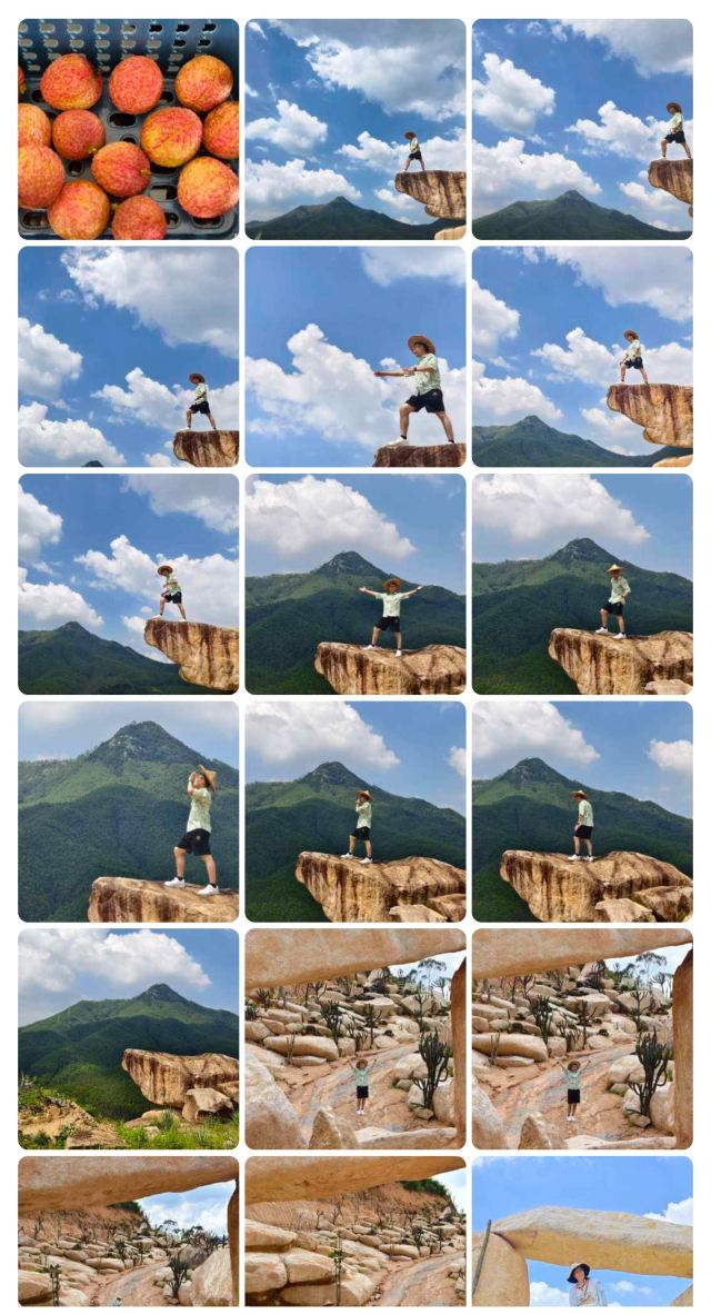 仙人掌王国旅行图片 5