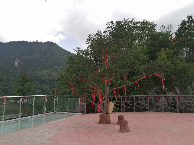 天台国家森林公园天台山索道旅行图片 2