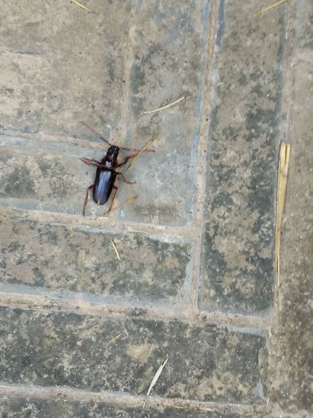 广仁王庙旅行图片 4