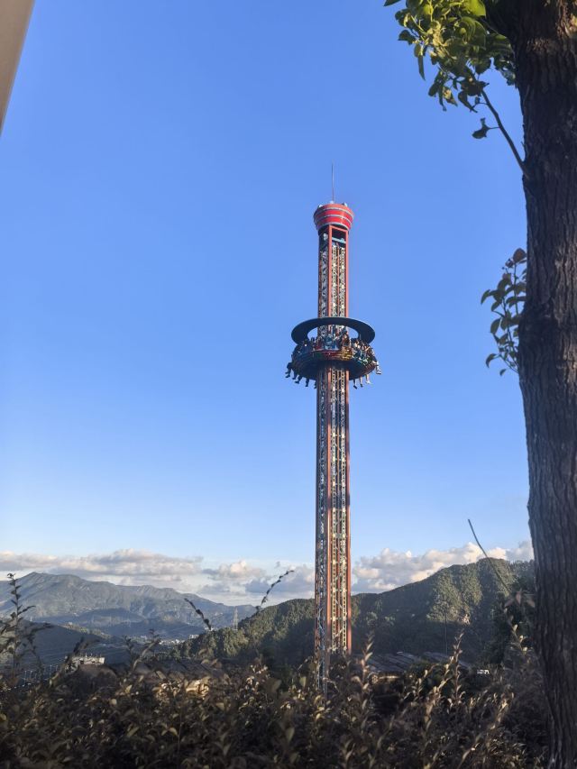 云顶草上世界旅行图片 8