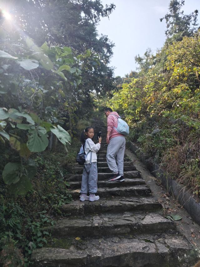 冶父山国家森林公园旅行图片 9