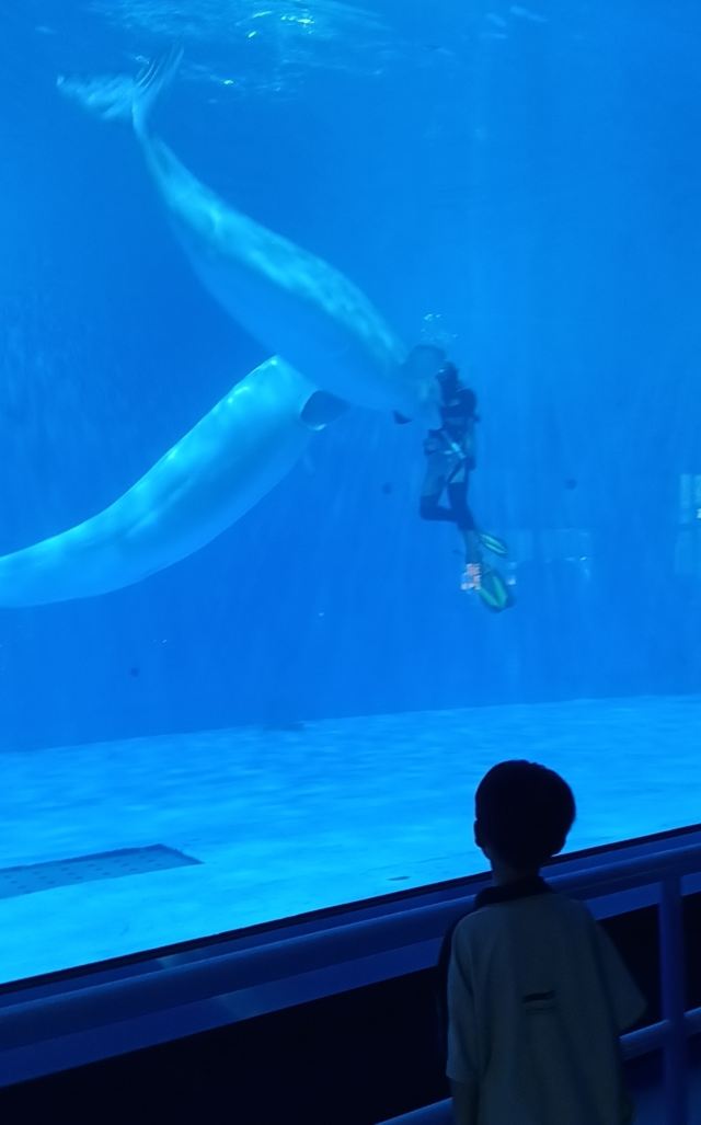 福州欧乐堡海洋世界旅行图片 1