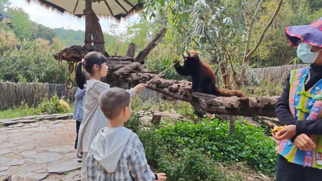 普洱国家公园犀牛坪景区旅行图片 1