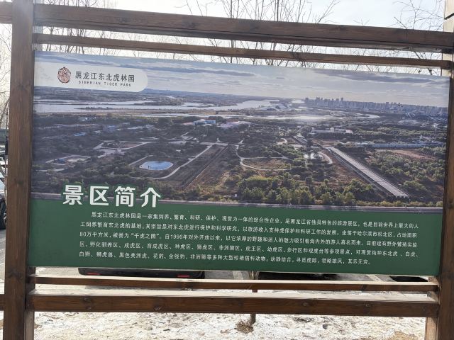 东北虎林园旅行图片 7