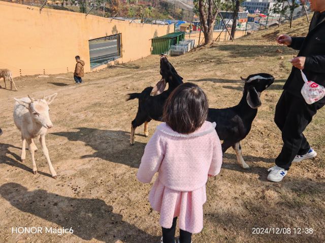 九江野生动物世界旅行图片 2