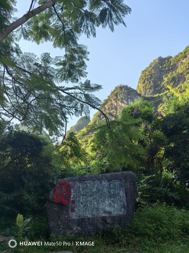 龙颈河景区旅行图片 9