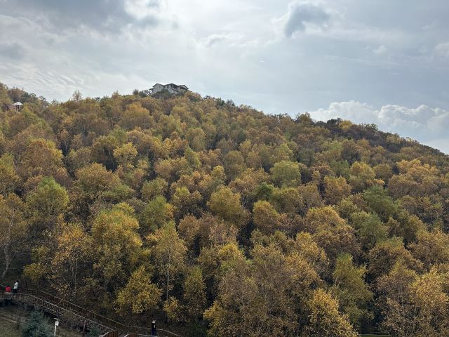 林胡古塞旅行图片 3