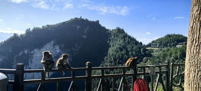 重庆云阳龙缸国家地质公园旅行图片 8