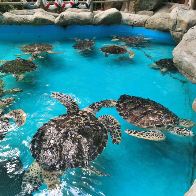 福州欧乐堡海洋世界旅行图片 4