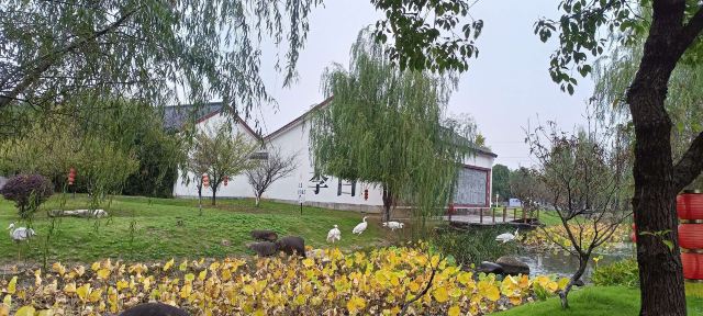 李白文化园旅行图片 8