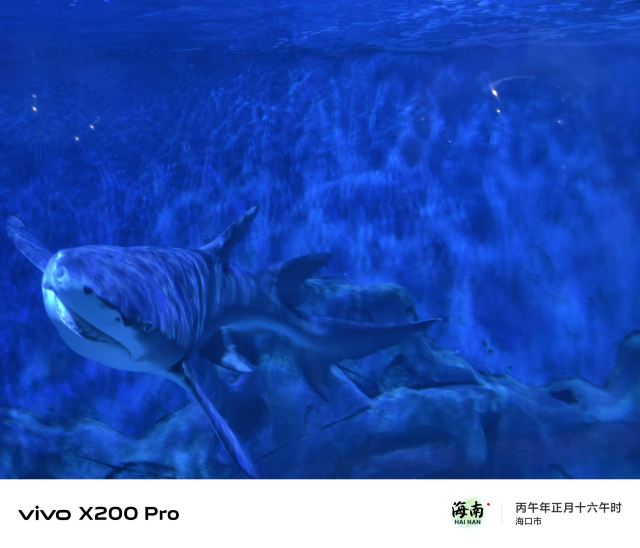 海之语海洋世界旅行图片 3