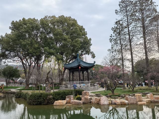 荣氏梅园旅行图片 2