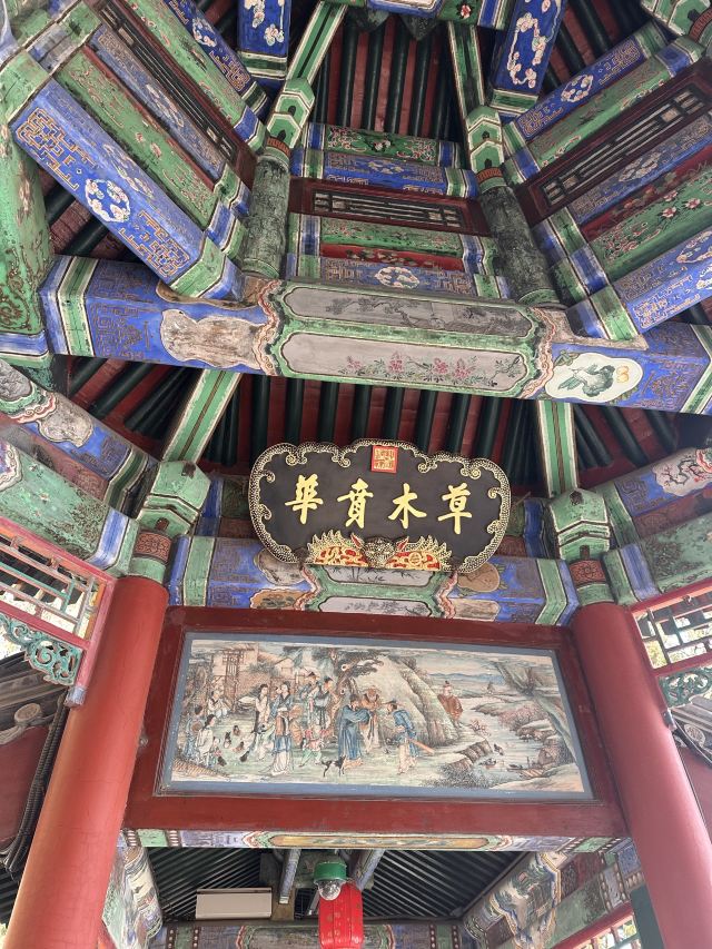 颐和园旅行图片 5