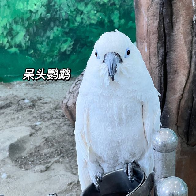 牡丹江珍稀动物园旅行图片 5