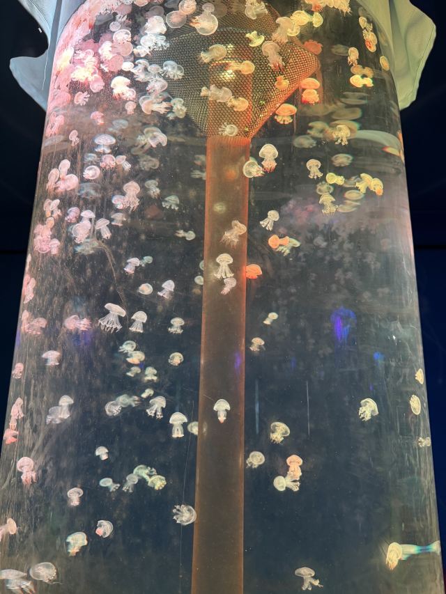 皖南野生动物园旅行图片 1