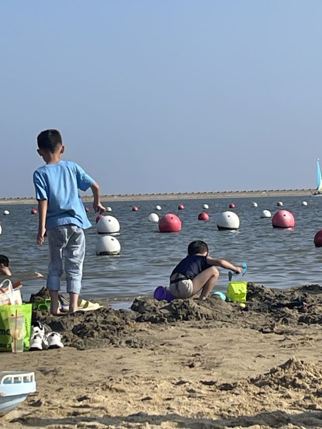 金山城市沙滩旅行图片 1