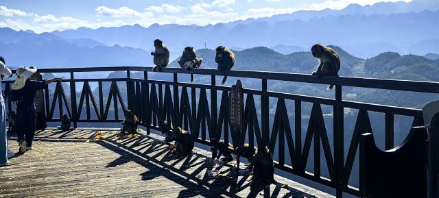 重庆云阳龙缸国家地质公园旅行图片 7