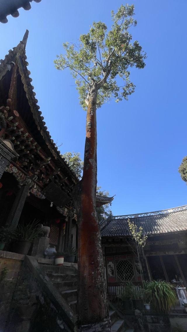 巍宝山景区旅行图片 1
