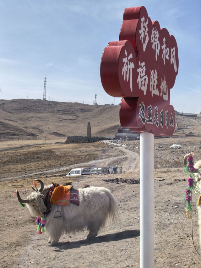 日月山景区旅行图片 3