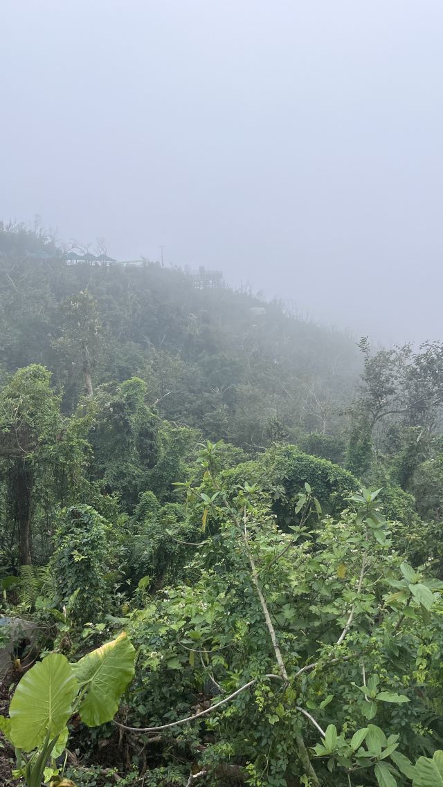 铜鼓岭景区旅行图片 2