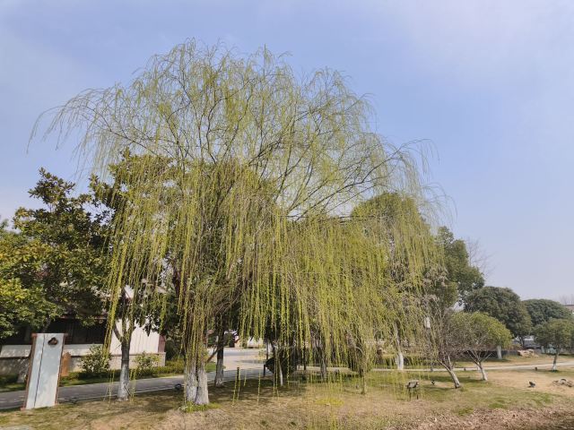 尚湖风景区旅行图片 9