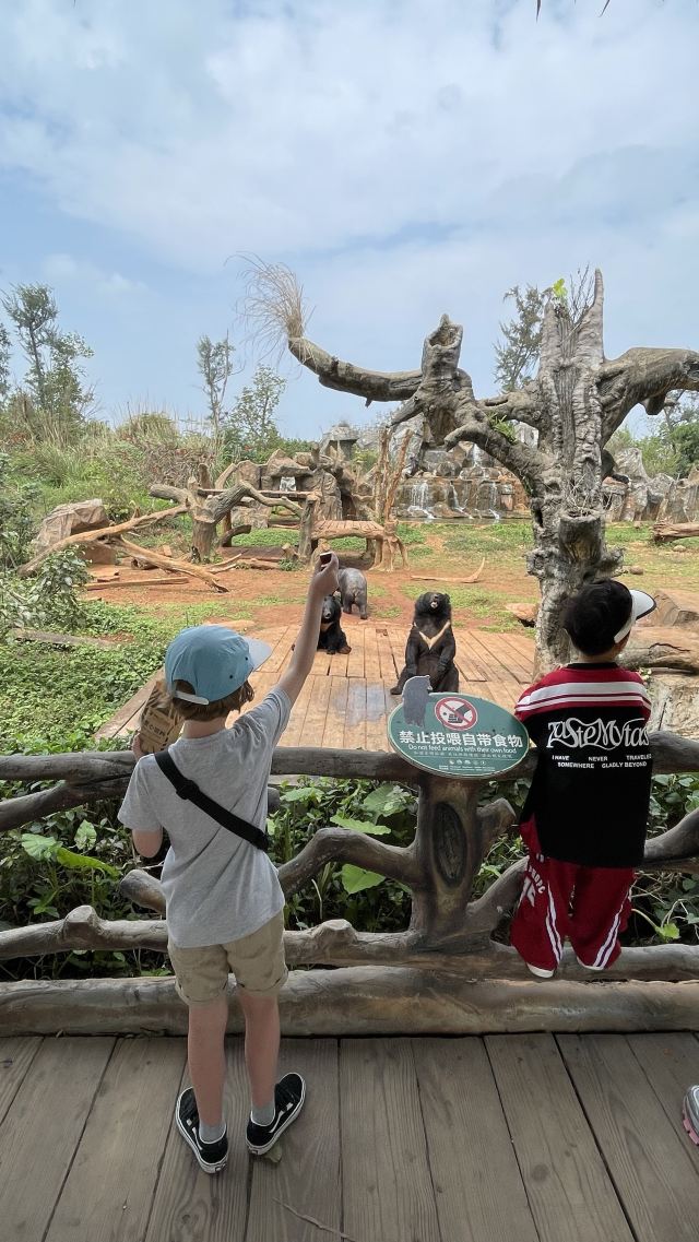 海南热带野生动植物园旅行图片 1