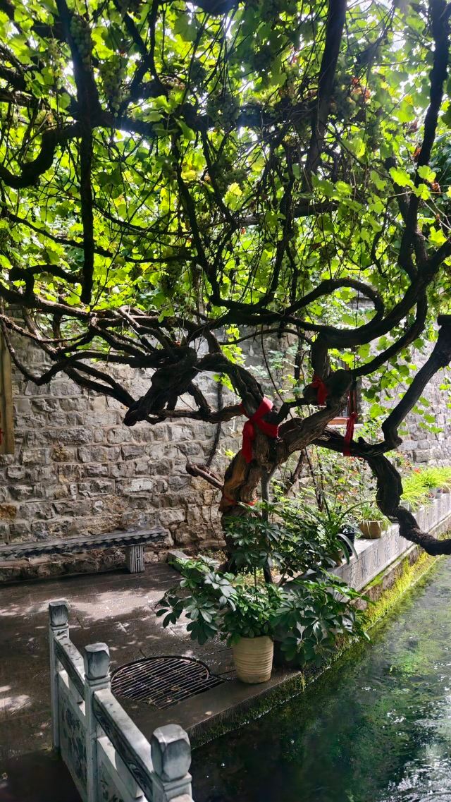 娘子关旅行图片 2