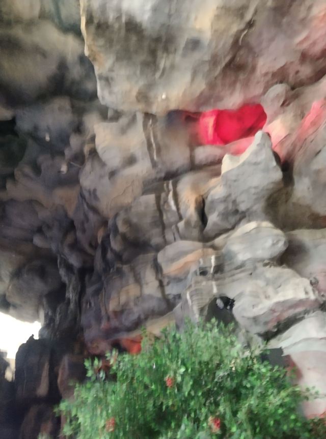 德百奇石观赏园旅行图片 6