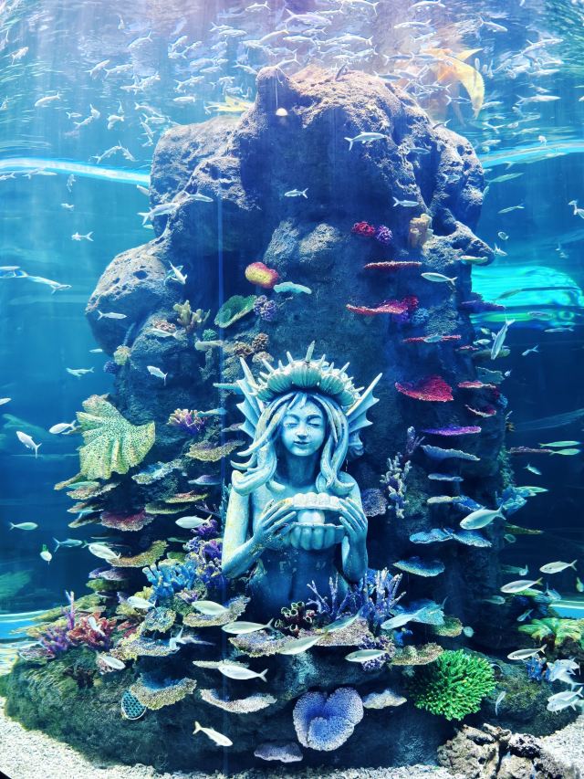 长沙湘江海洋王国旅行图片 2