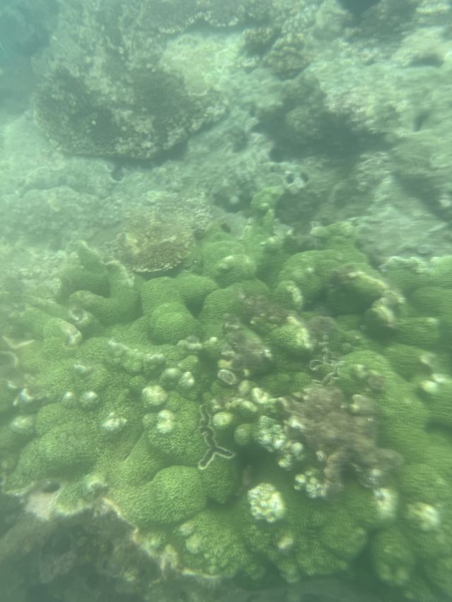 石梅湾加井岛旅行图片 2
