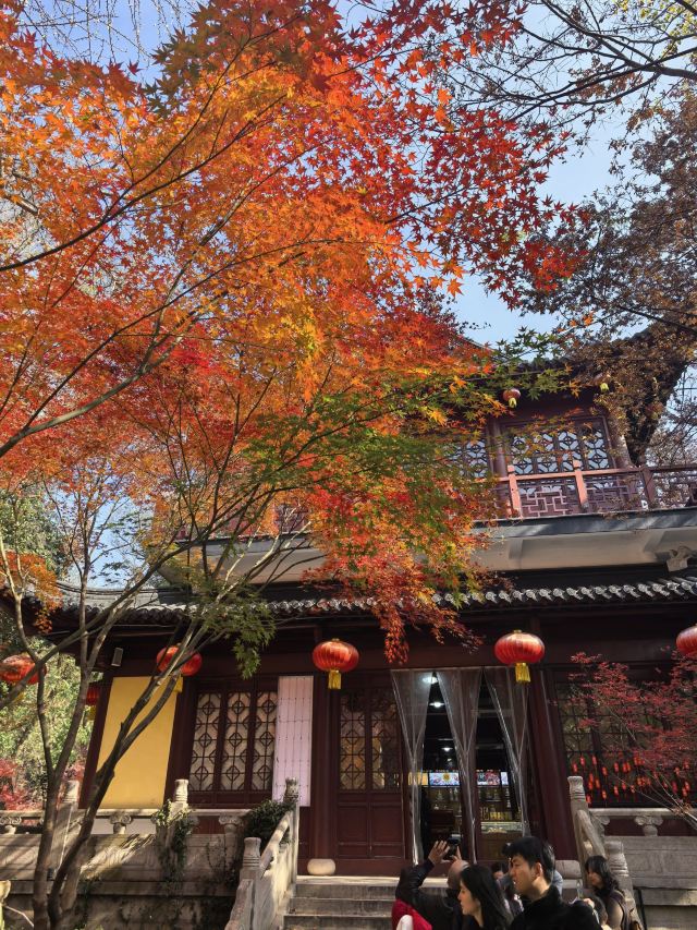 栖霞山风景名胜区旅行图片 5